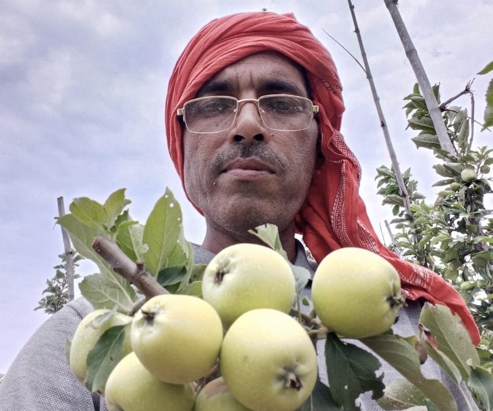 बंजर भूमि पर धर्मेंद्र कर रहे सेब की खेती,बिहार में जम्मू-हिमाचल जैसी पैदावार!
