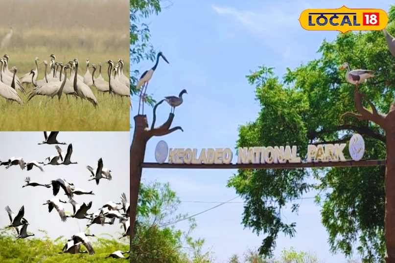 news 18 news 18