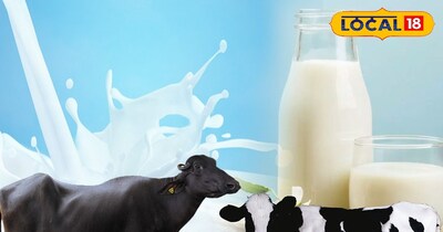 दूध उत्पादन 