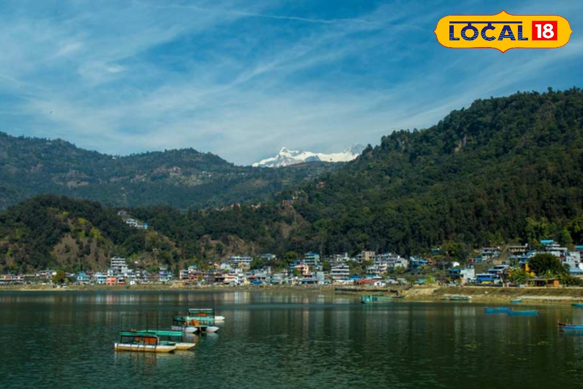 सर्दियों में जरूर करें VTR का दीदार, बिहार में मिलेगा कश्मीर जैसा मजा
