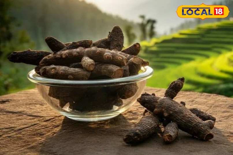 black turmeric black turmeric