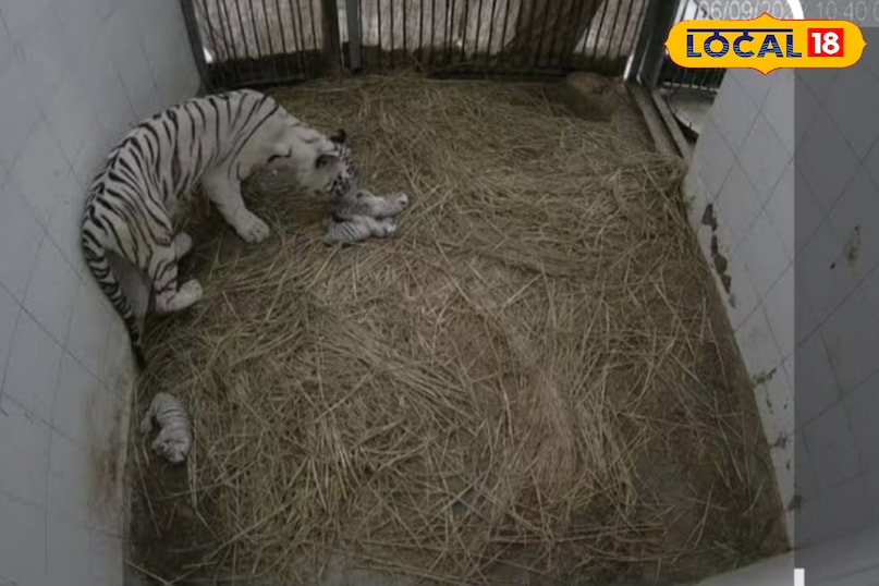 अद्भुत प्राकृतिक सौंदर्य ही लोगों को आकर्षित करता है