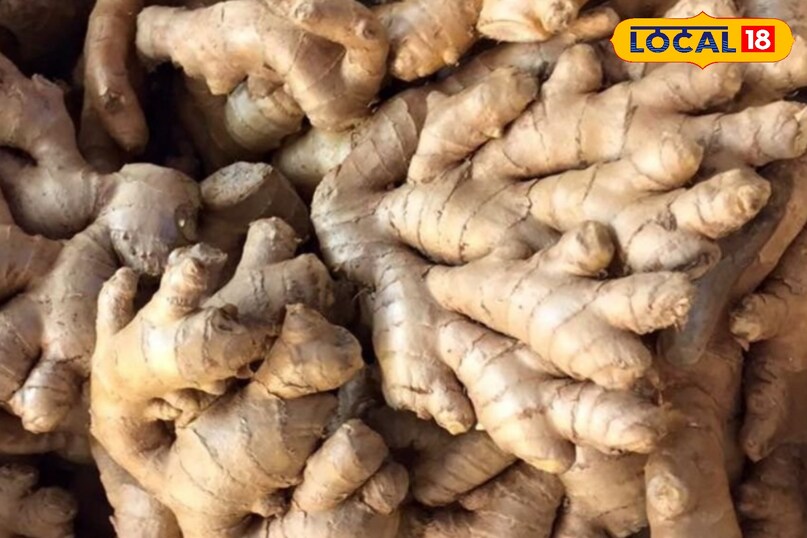 हर मसाला औषधि 