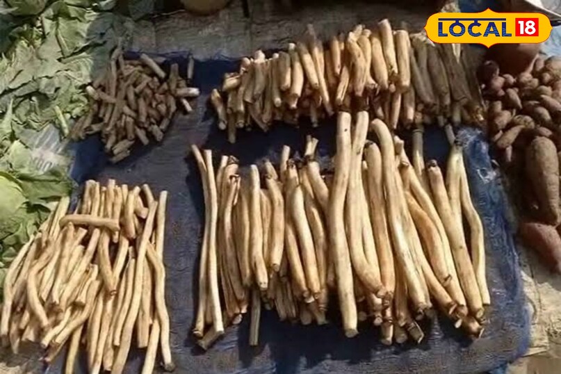 कमल की जड़