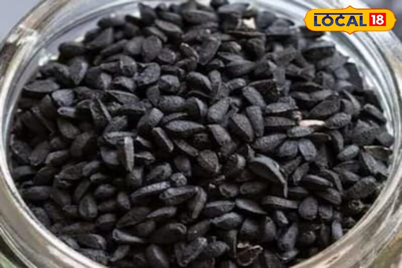 Moradabad news,hindi news,up news,local news, मुरादाबाद समाचार, हिंदी समाचार, यूपी समाचार, लोकल समाचार।