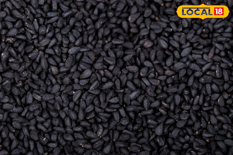 Moradabad news,hindi news,up news,local news, मुरादाबाद समाचार, हिंदी समाचार, यूपी समाचार, लोकल समाचार।