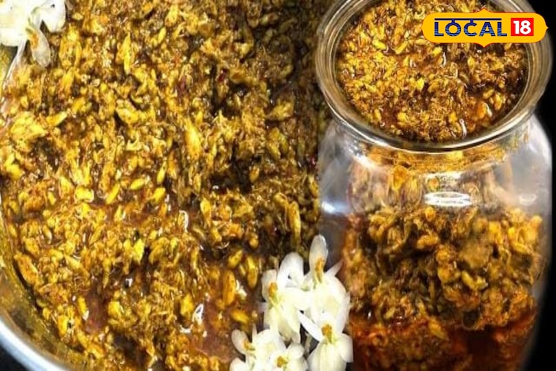 मोरिंगा 