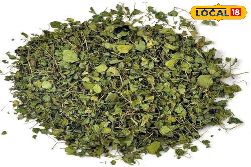 पान मैथी 