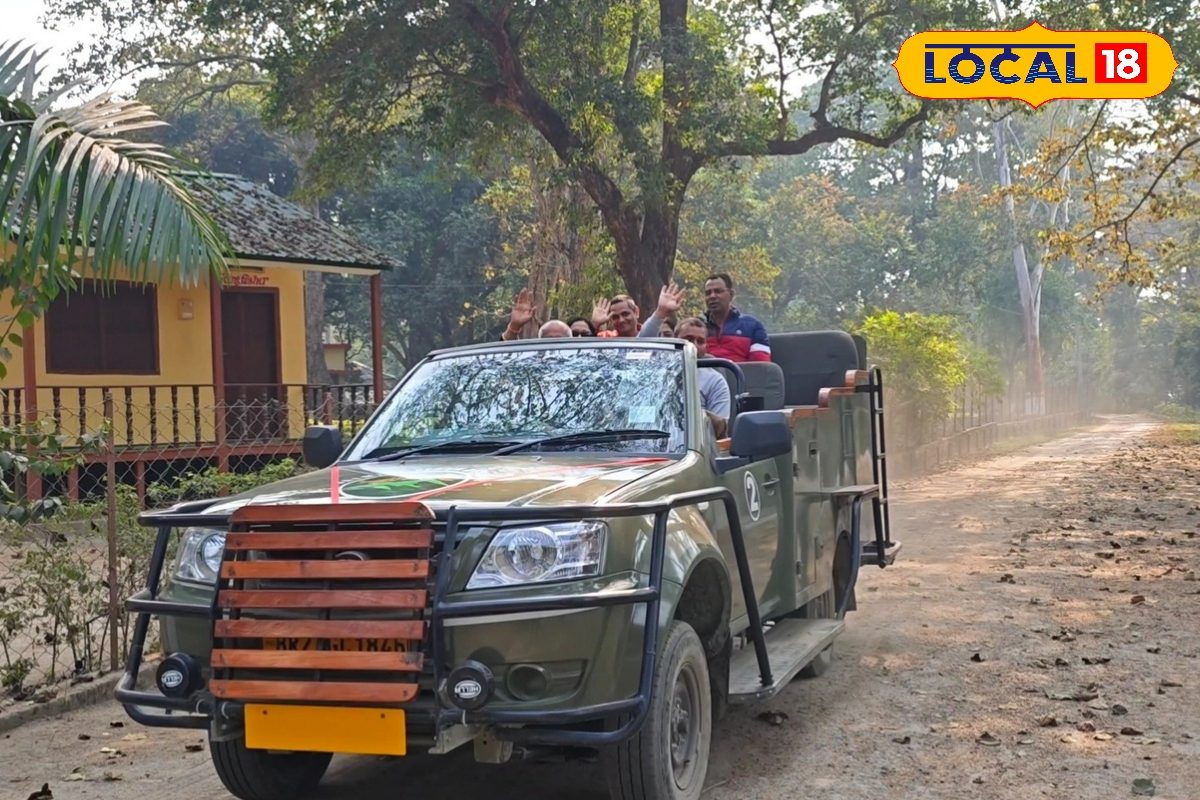 VTR में शुरू हुआ जंगल सफारी का सिलसिला, नौका विहार का भी मिलेगा मजा