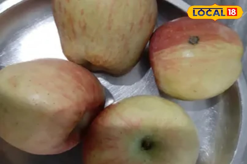 सेब जो लोग ज्यादातर फल के रूप मे खाते है 