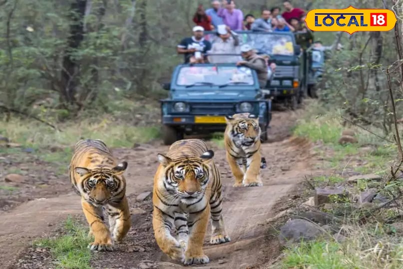 Nature beauty in winter, Tribal culture tourism MP, winter Best tourist place, chhindwara letest news, Madhya Pradesh hindi news,  Nature beauty in winter, Tribal culture tourism MP, winter Best tourist place, chhindwara letest news, Madhya Pradesh hindi news,