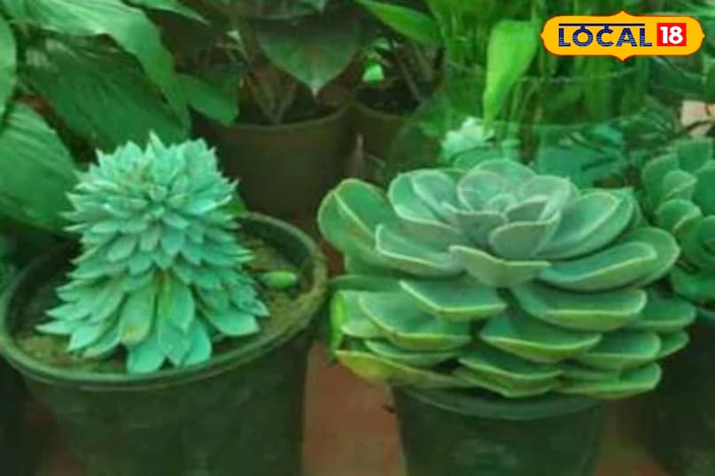 न करें छोड़ने की भूल