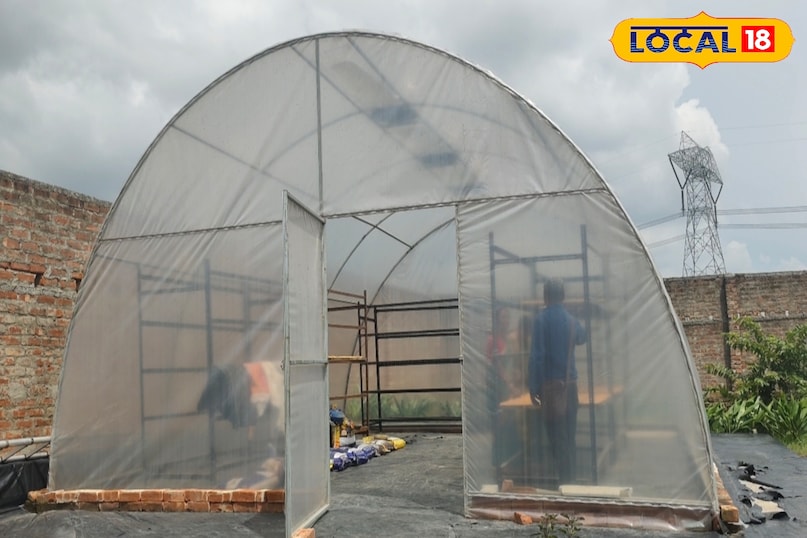 To make this Bari industry a big industry, Basanti also used technology. With the help of technology, Solar Dry which is also called Surya Kund was constructed. This Surya Kund is built like a shed whose main purpose is to dry various items without electricity and only with the energy of the sun, through which Basanti does the work of drying a large number of Bari in this Surya Kund shed.