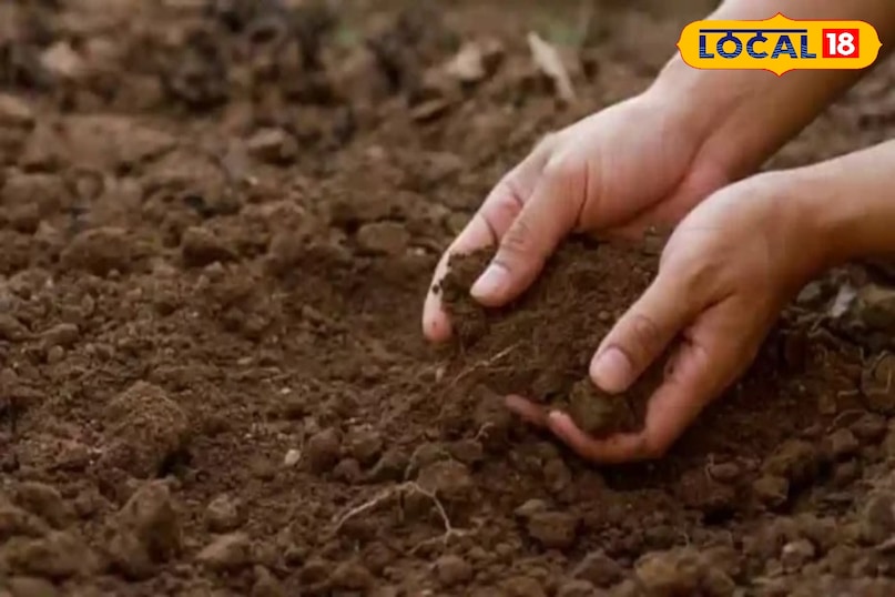 मिट्टी पर घाव नहीं लगाए 