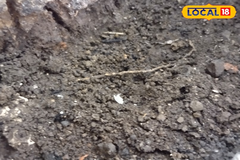 मिट्टी घाव में उपयोग 