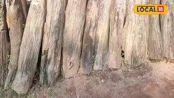 बस्तर की अनोखी कला... दुनियाभर में बजता डंका, 100 साल से ज्यादा टिकाऊ, जानिए