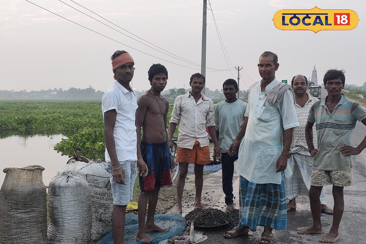 काला सोना ने बदली किसान दिलीप की जिंदगी! 50 हजार की लागत में 3 लाख की कमाई