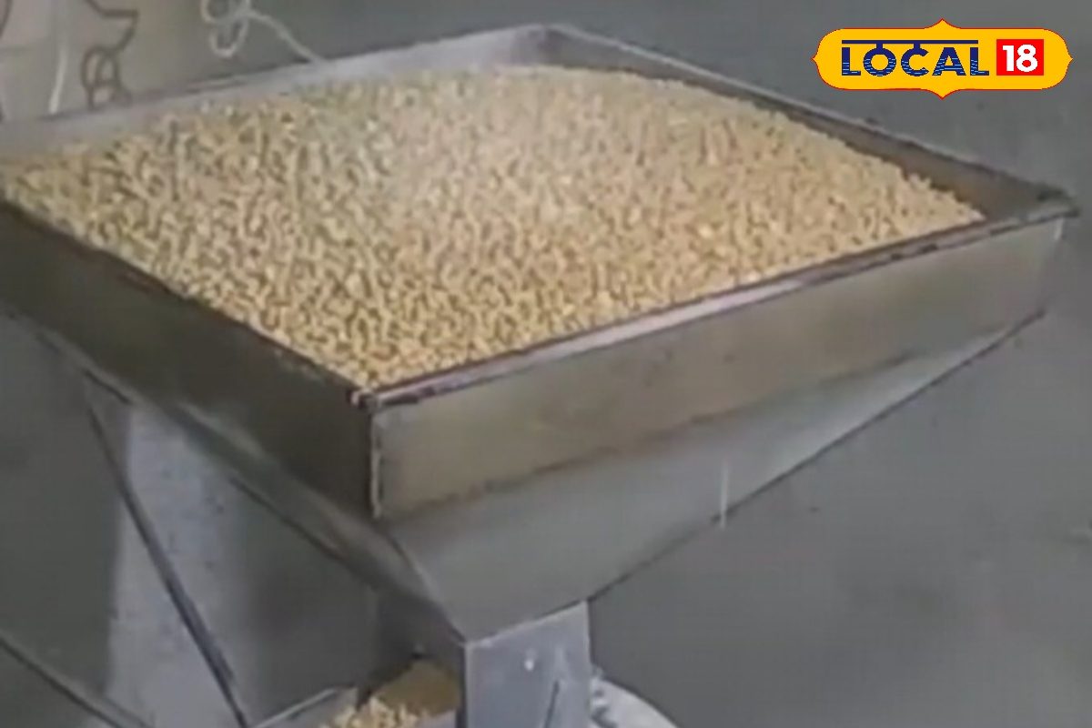 सिर्फ 55,000 रुपये में शुरू करें अपना बिजनेस, 3-इन-1 मशीन से कमाएं लाखों