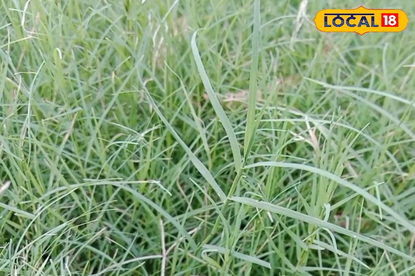 बवासीर और मानसिक स्वास्थ्य बवासीर और मानसिक स्वास्थ्य