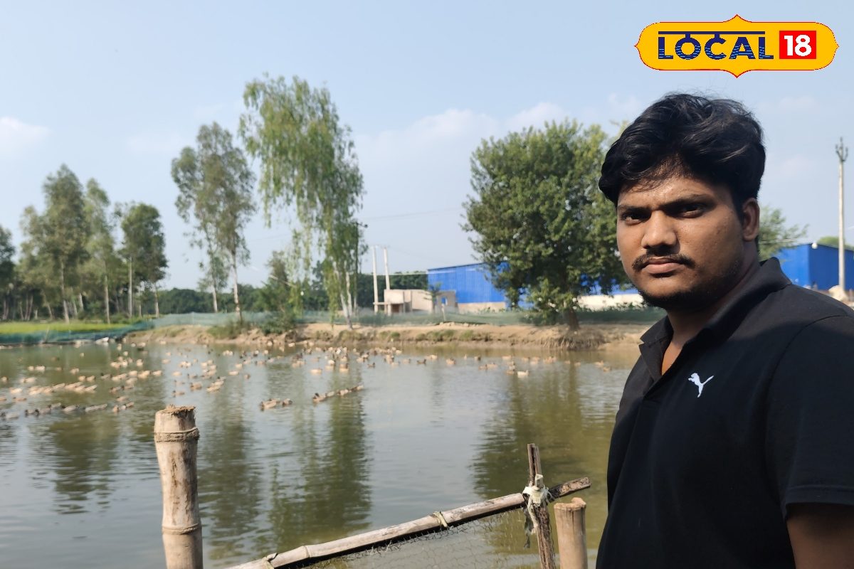 यूट्यूब से इंजीनियर बना 'बत्तख किंग', रोज 800 अंडे बेच कर रहा लाखों की कमाई