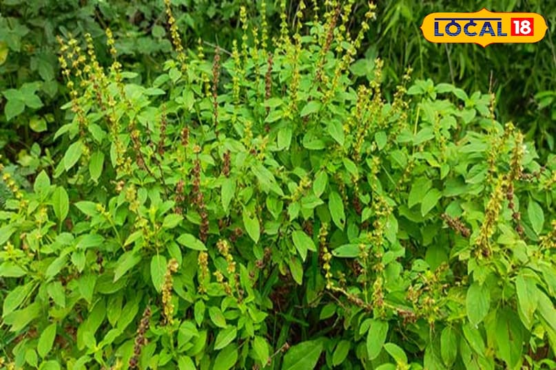 पूजन  पूजन