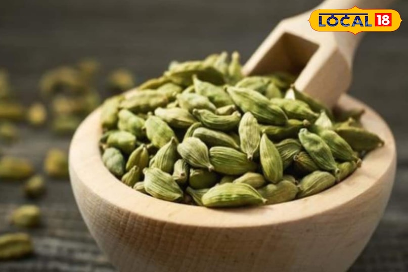 हरी इलायची, जिसे मसालों की रानी कहा जाता है, हर भारतीय रसोई में मौजूद होती है. इसे अक्सर हम केवल खाने की खुशबू और स्वाद बढ़ाने के लिए इस्तेमाल करते हैं. लेकिन योग गुरु पुरुषार्थी पवन आर्य ने कहा, यह छोटा सा दाना आपकी सेहत के लिए किसी प्राकृतिक औषधि से कम नहीं है. अगर आप रोज़ 2 इलायची 15 दिन तक खाते हैं, तो शरीर में कई सकारात्मक बदलाव नज़र आ सकते हैं.