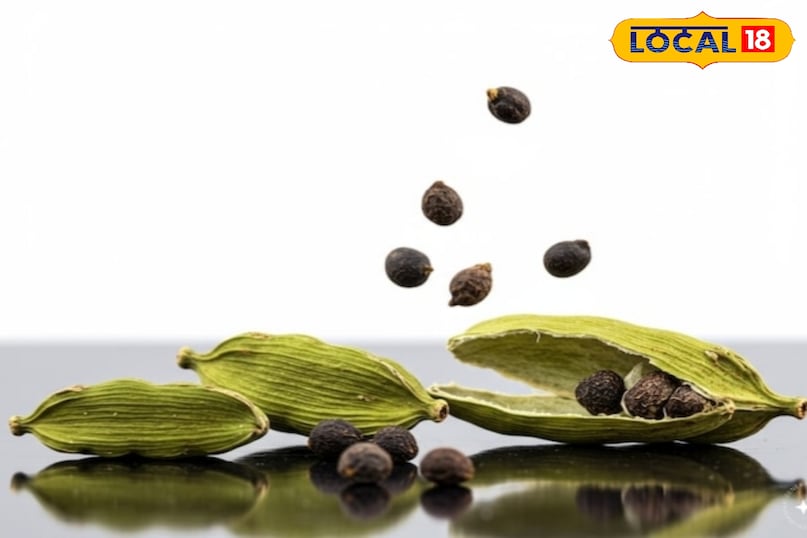 उन्होंने कहा कि सर्दी-खांसी से परेशान लोगों के लिए इलायची एक असरदार घरेलू नुस्खा है. यह गरम प्रकृति की होती है, जो शरीर में जमा बलगम को ढीला करती है और सांस की नली को साफ़ करती है. इससे छाती का जमाव कम होता है और सांस लेना आसान हो जाता है. ठंड के मौसम में इलायची वाली हर्बल चाय पीना बेहद लाभदायक माना जाता है.