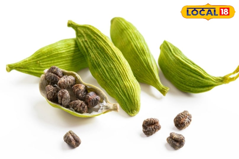 आगे कहा कि इलायची में मौजूद एंटीबैक्टीरियल गुण मुंह की बदबू पैदा करने वाले बैक्टीरिया को खत्म करते हैं. यही कारण है कि पुराने समय में राजा-महाराजा भी भोजन के बाद इलायची खाते थे. रोज़ाना इसे खाने से सांस ताज़ा रहती है, मुंह में फ्रेशनेस आती है और बदबू की समस्या बिना किसी माउथवॉश के दूर होती है. 