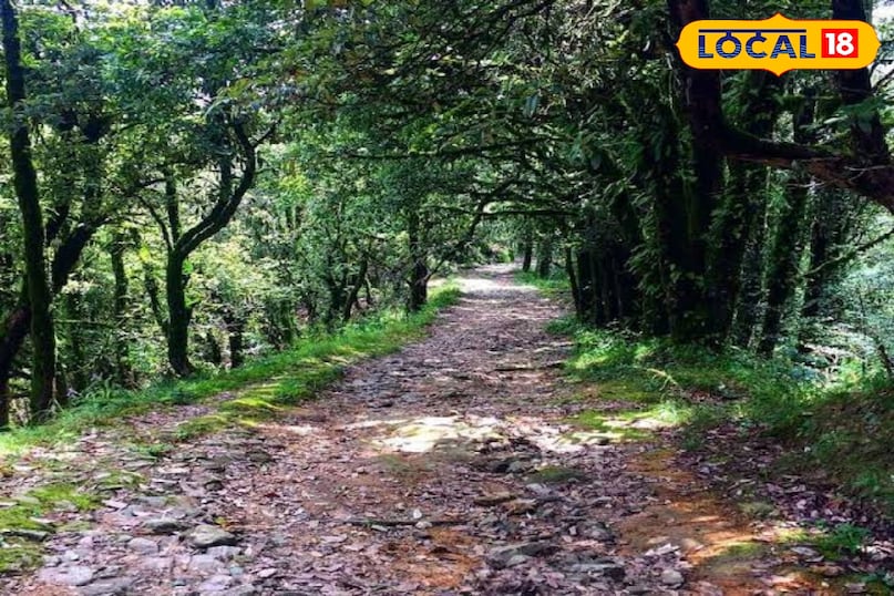 Traking in nainital Traking in nainital