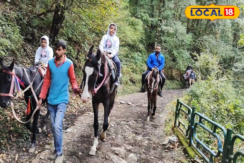 Horse Riding in nainital Horse Riding in nainital