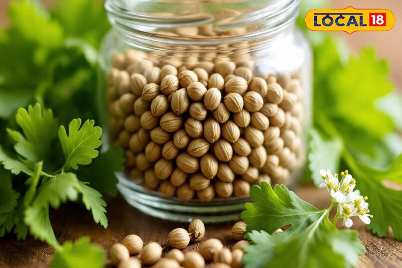 आमतौर पर, बुवाई से लेकर बीज तैयार होने तक तराई वाले क्षेत्रों में लगभग 3 महीनों में धनिया की फसल हार्वेस्टिंग के लिए तैयार हो जाती है, लेकिन पर्वतीय क्षेत्रों में यह समय बढ़कर 4 महीने का हो जाता है. हालांकि सलाद के रूप में इसके पत्तों को 2 महीने में लिया जा सकता है.