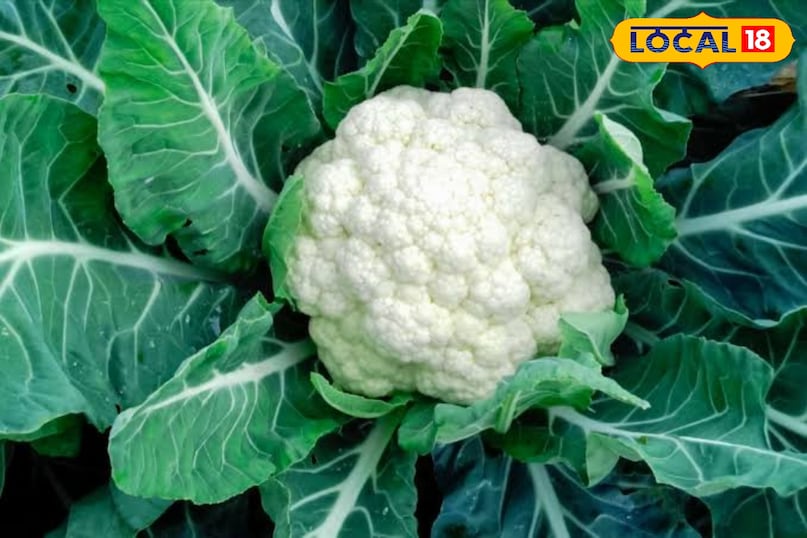 फूल गोभी