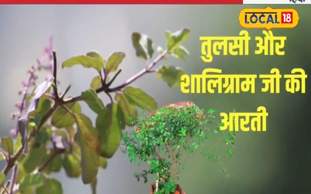 तुलसी विवाह- करें विशेष पूजा, बरसेगी भगवान विष्णु और मां लक्ष्मी की कृपा