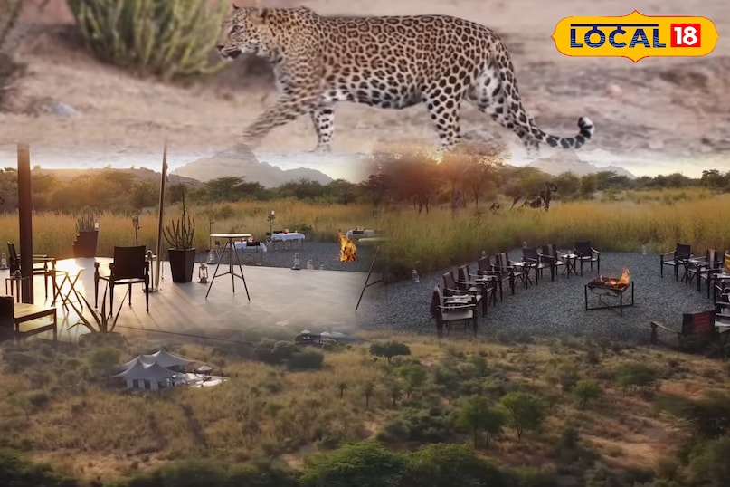 पाली  पाली