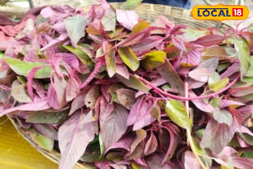 Gardening tips Gardening tips