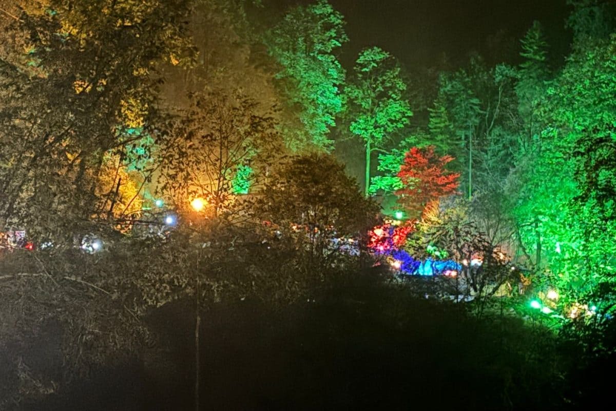 नशे में झूमते सैलानीहिमाचल के कसोल में रेव पार्टी पर सरकार खामोश