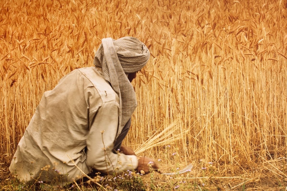 12 करोड़ किसानों के लिए बड़ी खबर! सरकार ने 5 साल बढ़ा दी इस योजना की डेडलाइन