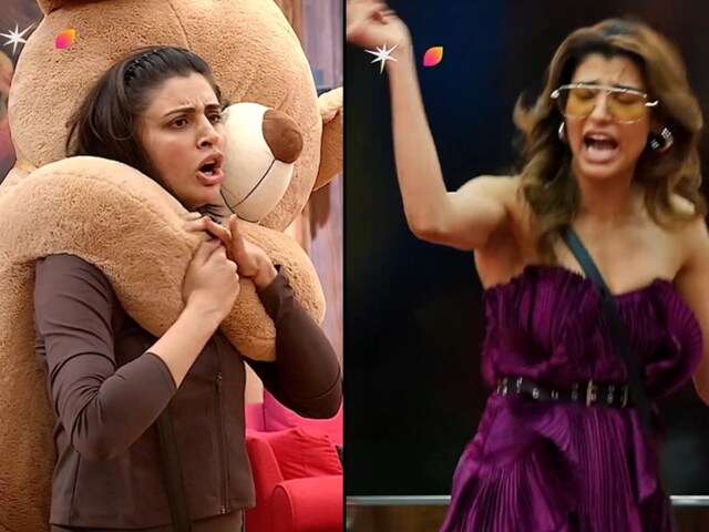 Bigg Boss 19 Written Update Day 50: Amaal-Farhana fight over washing utensils