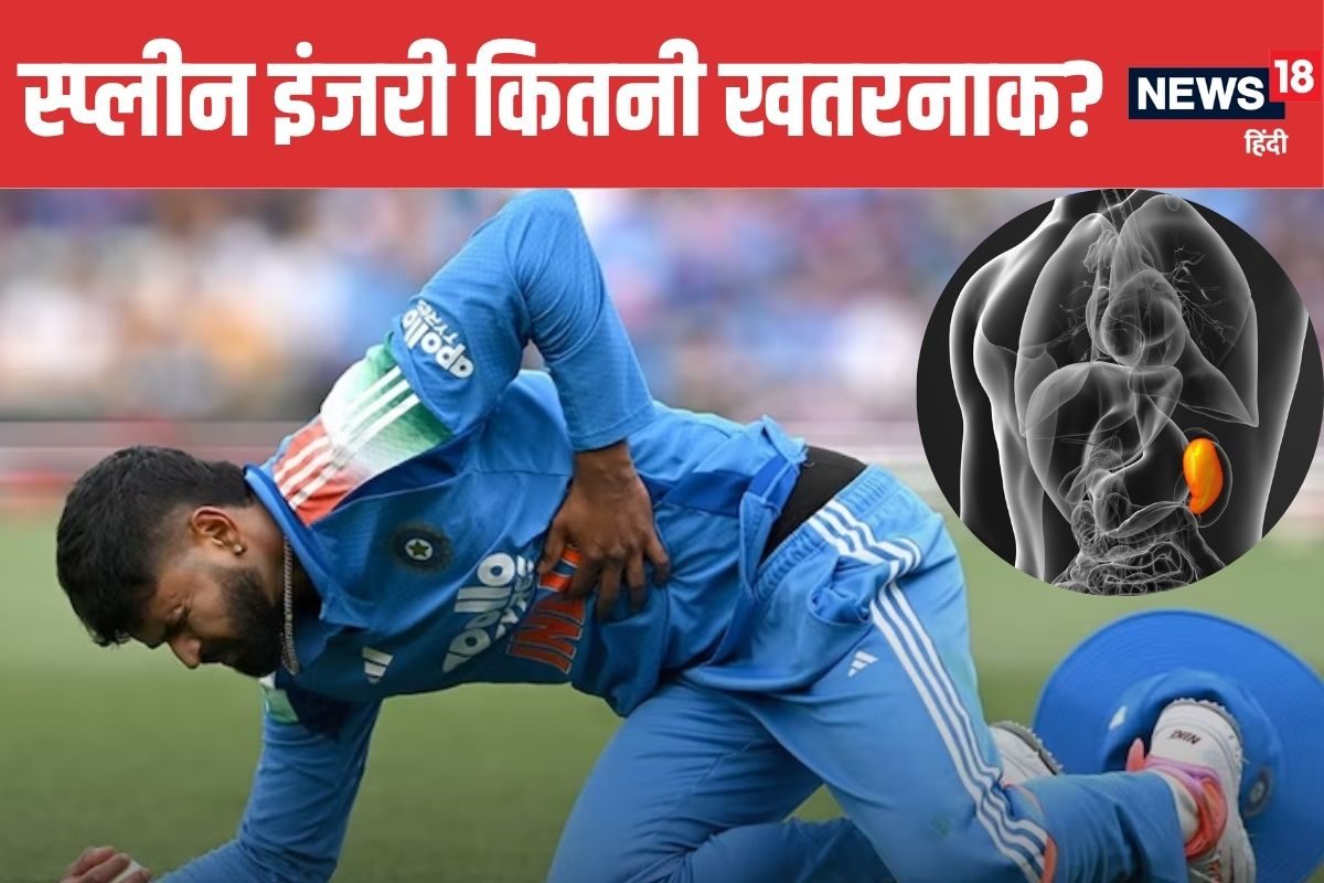 श्रेयस अय्यर को जिस ऑर्गन में हुई इंजरी, उसका काम क्या है? आसान भाषा में समझें