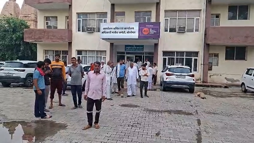 मंडी में पीला सोना लेकर पहुंचे किसान निराशा अधिकारी गाड़ी लेकर भागे