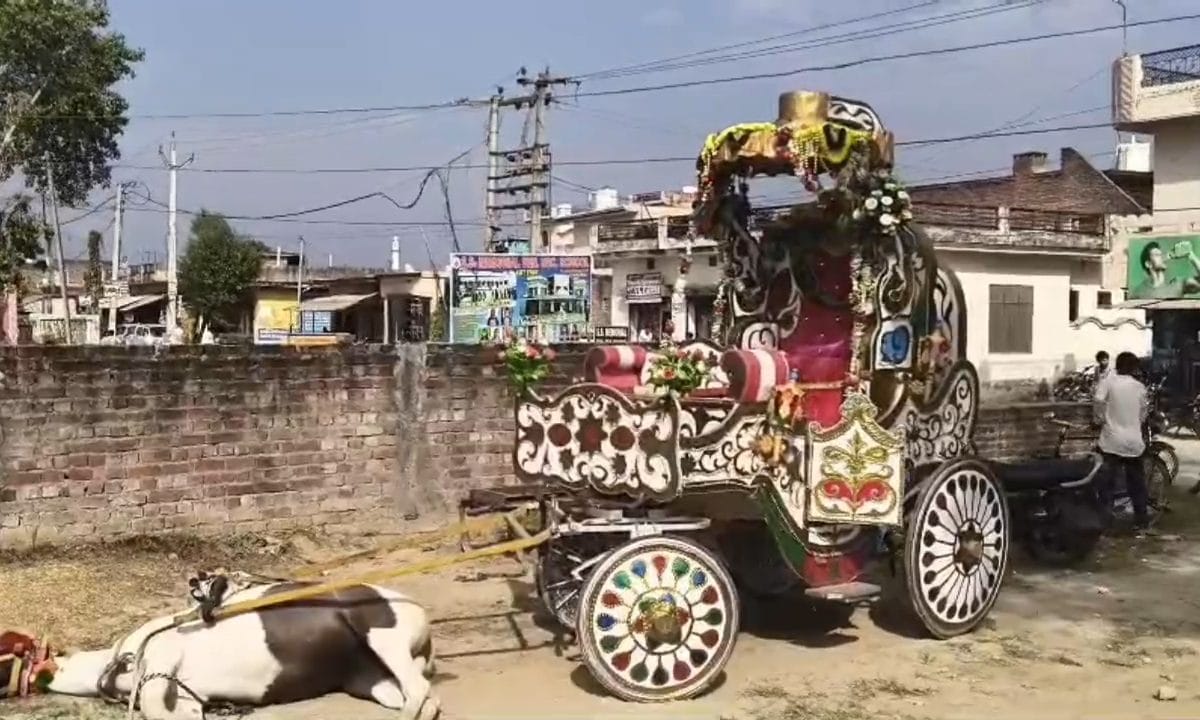 बग्गी में दौड़ा करंट घोड़ी की मौतदूल्हा बाल-बाल बचा फूट-फूट कर रोया मालिक