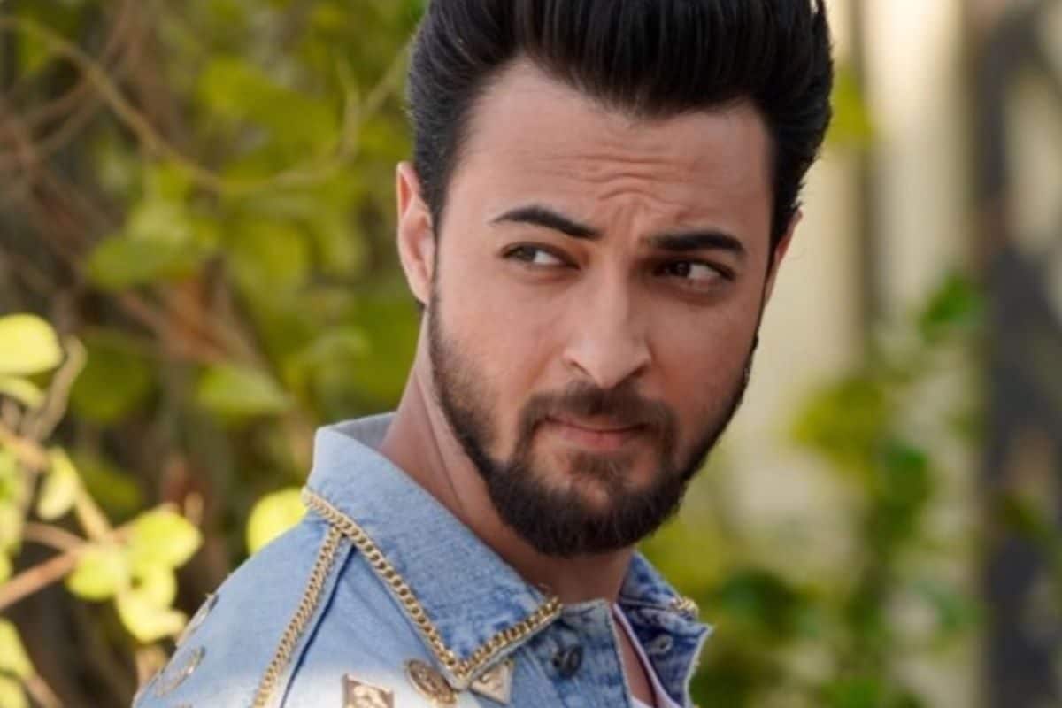 आयुष ला रहे पैन इंडिया फिल्म, 'राजा साहब' के प्रोडक्शन हाउस से मिलाया हाथ