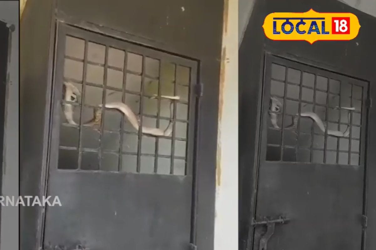 मठ में पूजा कर रहे थे पंडित जी अचानक आ गया Cobra! भागा-दौड़ी नहीं मची बल्कि