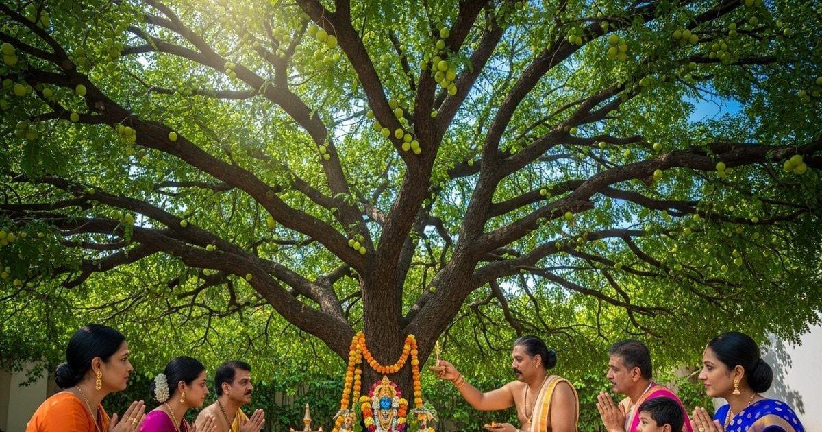 Amla Navami Kab Hai 2025: आंवला नवमी कब? 3:31 घंटे का है मुहूर्त, लेकिन सुबह से चोर पंचक, जानें तारीख, अक्षय नवमी का महत्व