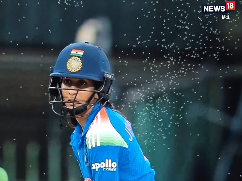 India vs Pakistan women's world cup, ind vs pak, india vs Pakistan, ind vs Pak match bugs attack, IND vs PAK Bugs attack, IND VS PAK MATCH PEST CONTROL BIG BUGGS, Women world cup, भारत बनाम पाकिस्तान, महिला वर्ल्ड कप, मच्छर, भारत बनाम पाकिस्तान मच्छर