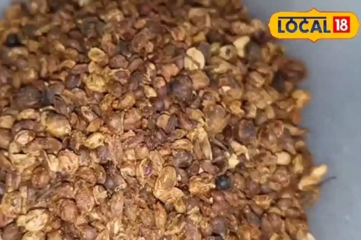 आयुर्वेद का अनमोल खजाना है ये बीज, शरीर और बालों के लिए चमत्कारी
