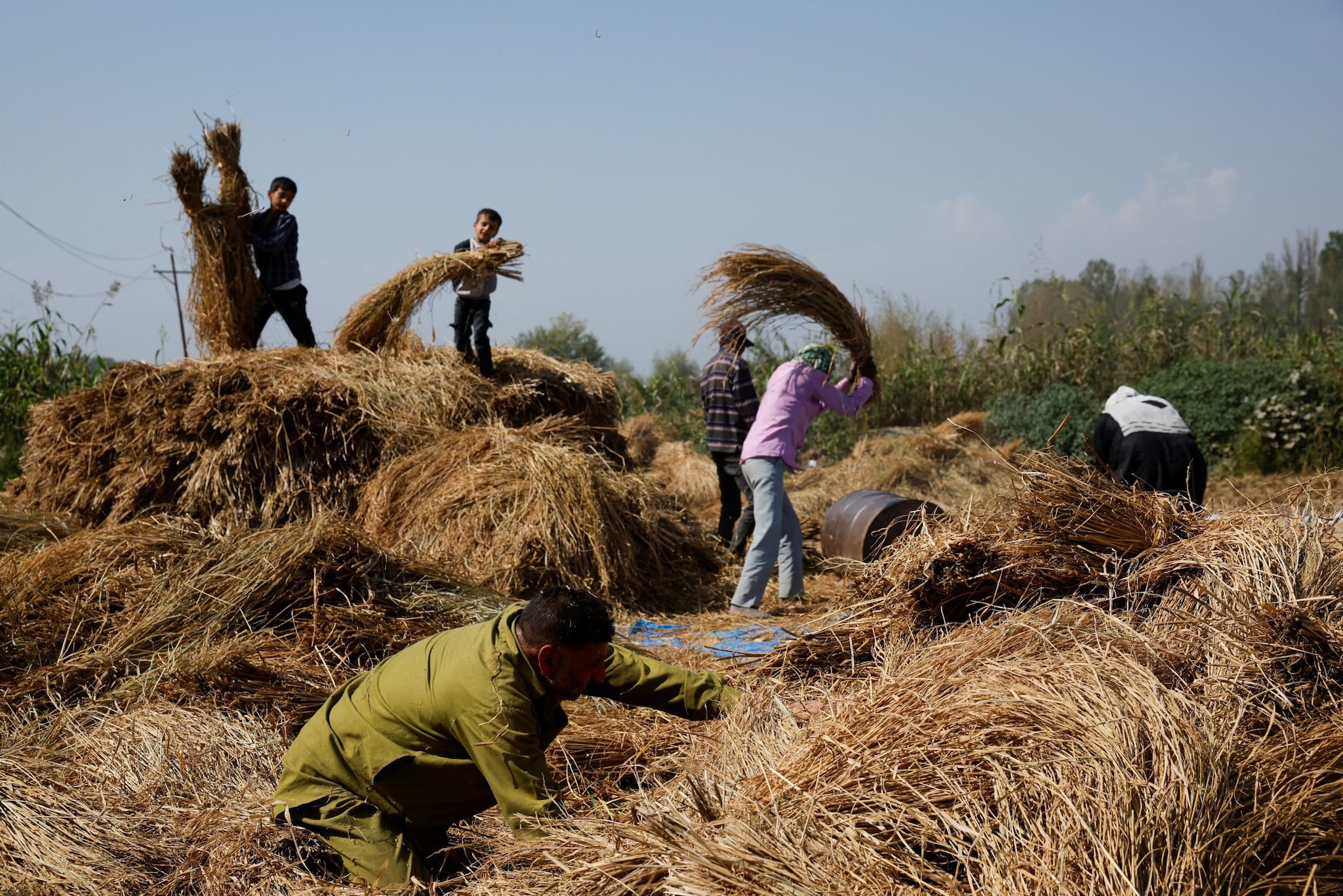 किसानों के साथ मजाक कर रहीं कंपनियां फसल बीमा पर मिल रहा 1 रुपये का मुआवजा