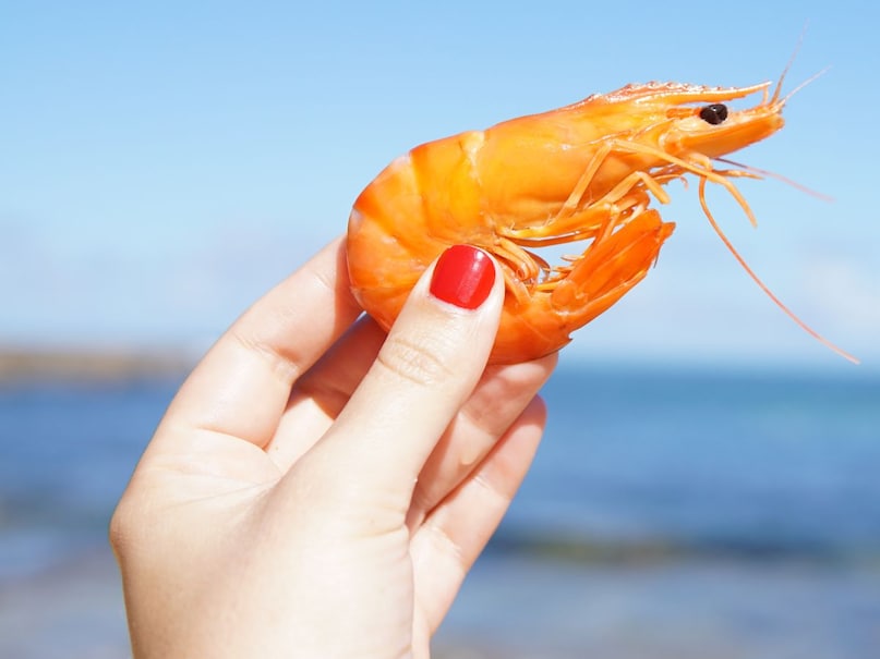 india US trade Deal, which stocks rise after india US trade Deal, which sectors benefit after india US trade Deal, how india US trade Deal benefit, भारत-अमेरिका ट्रेड डील से क्या फायदा, भारत-अमेरिका ट्रेड डील से किस सेक्टर को फायदा, भारत-अमेरिका ट्रेड डील से किन स्टॉक्स में उछाल, भारत-अमेरिका ट्रेड डील से किस सेक्टर को ज्यादा लाभ, भारत-अमेरिका ट्रेड डील से किन कंपनियों को फायदा  india US trade Deal, which stocks rise after india US trade Deal, which sectors benefit after india US trade Deal, how india US trade Deal benefit, भारत-अमेरिका ट्रेड डील से क्या फायदा, भारत-अमेरिका ट्रेड डील से किस सेक्टर को फायदा, भारत-अमेरिका ट्रेड डील से किन स्टॉक्स में उछाल, भारत-अमेरिका ट्रेड डील से किस सेक्टर को ज्यादा लाभ, भारत-अमेरिका ट्रेड डील से किन कंपनियों को फायदा