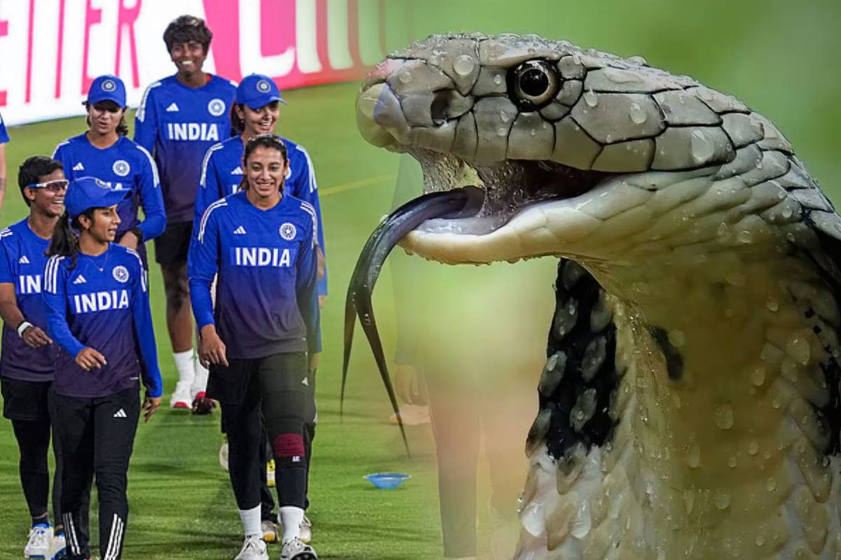 प्रैक्टिस कर रही थी महिला क्रिकेट टीम, तभी स्‍टेडियम में आ धमके नागराज