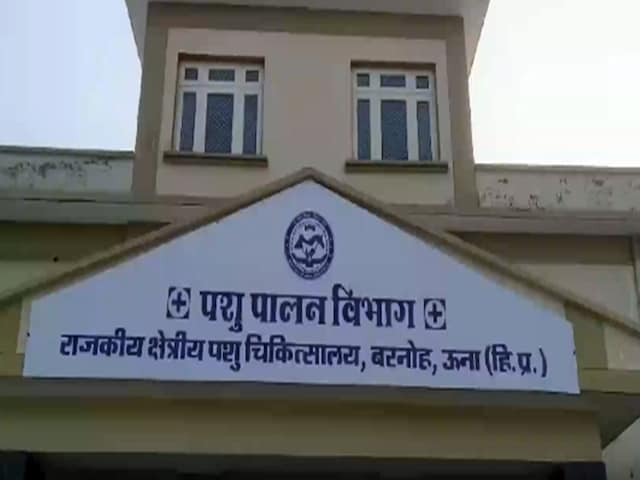 गाय के मुंह में फटा विस्फोटक, 4 घंटे के ऑपरेशन के बाद गोमाता को मिला नया जीवन गाय के मुंह में फटा विस्फोटक, 4 घंटे के ऑपरेशन के बाद गोमाता को मिला नया जीवन